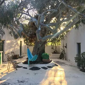 patio-ii-studio-at-finca.in-canary-islands.com/